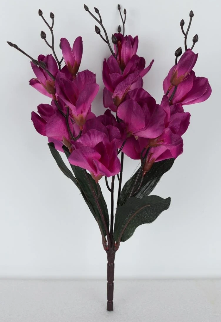 Small Glad Bunch 3+1 x 5